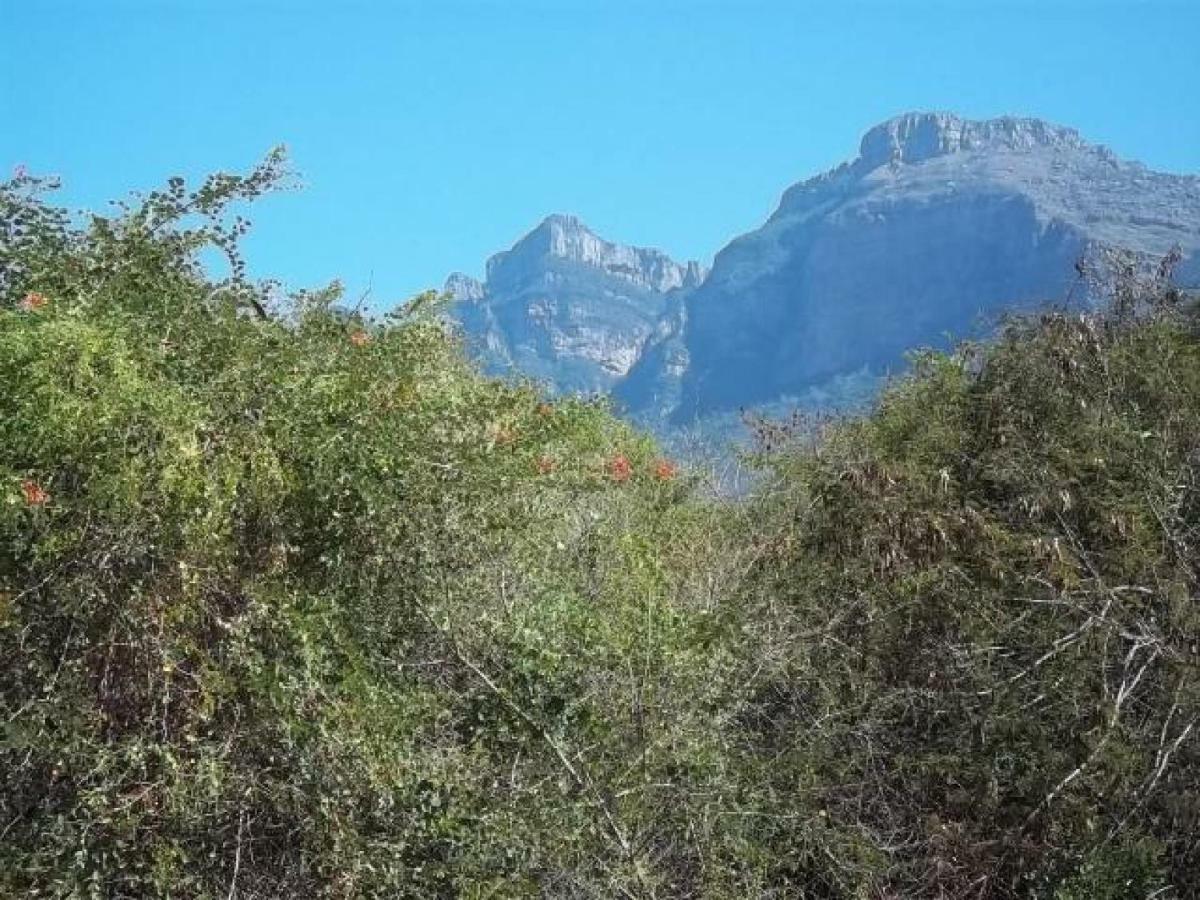 Aloes Bush Stay Hoedspruit Exteriör bild