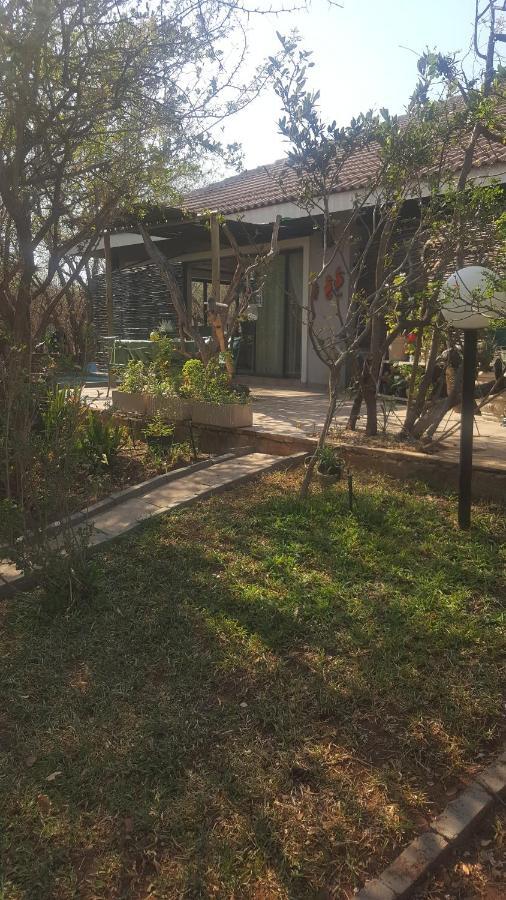 Aloes Bush Stay Hoedspruit Exteriör bild